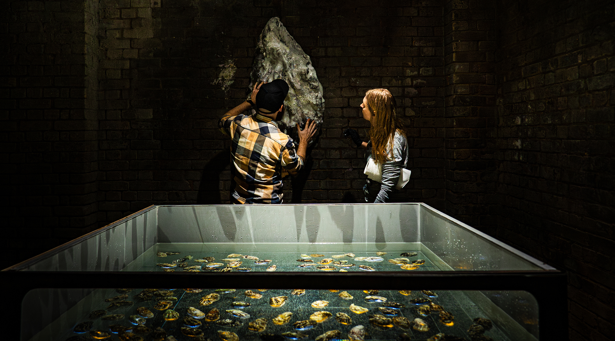 Two people staring at giant oyster